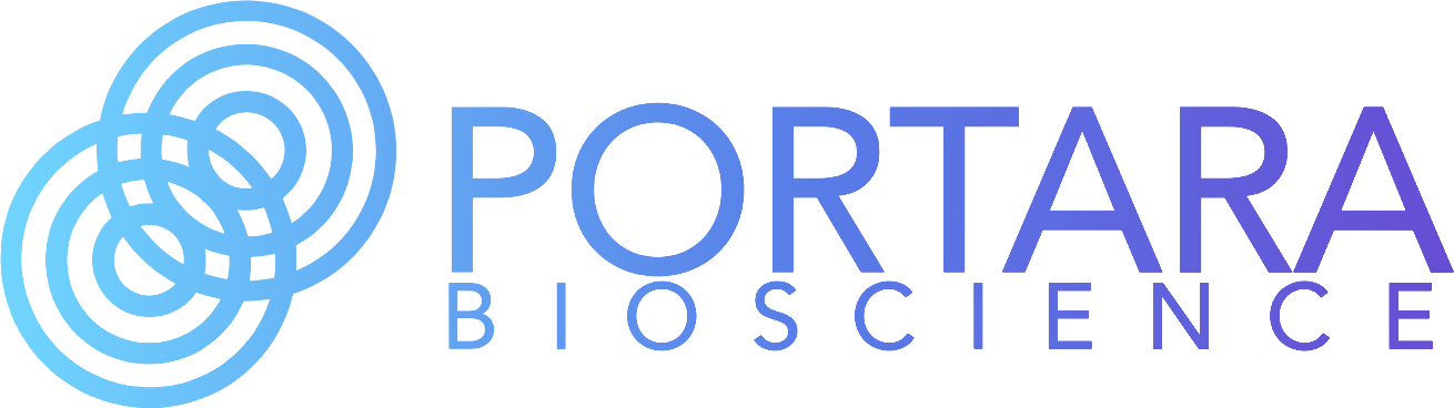 Portara logo in Transition State Studio style